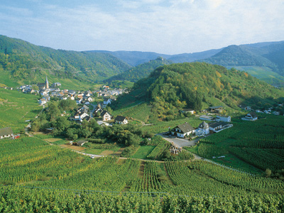 Blick auf den Weinort Mayschoß im Ahrtal © www.ahrtal.de
