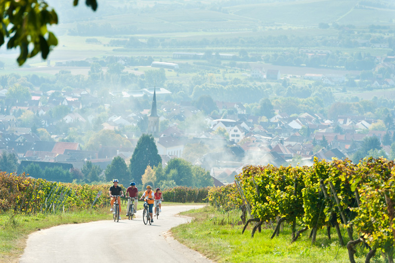 Radfahrer auf der Obstroute bei Schwabenheim, Foto: Dominik Ketz © Rheinland-Pfalz Tourismus GmbH